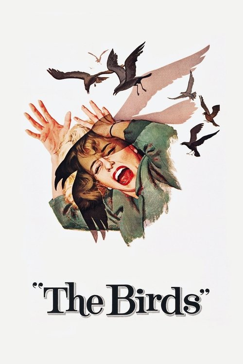 Watch The Birds movie free hd on hurawatch