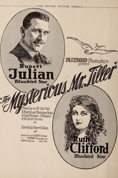 Watch The Mysterious Mr. Tiller movie free hd on hurawatch