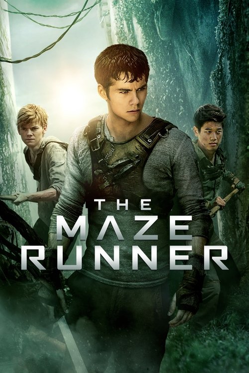 Watch The Maze Runner movie free hd on hurawatch