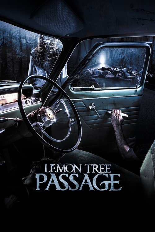 Watch Lemon Tree Passage movie free hd on hurawatch