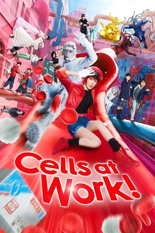 Watch Cells at Work! movie free hd on hurawatch
