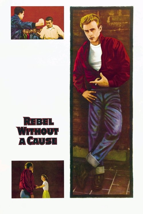 Watch Rebel Without a Cause movie free hd on hurawatch